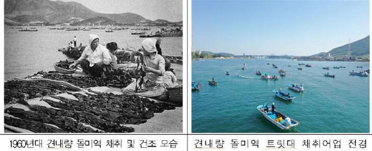 돌미역