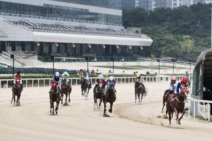기획1 서울경마공원에서 활동하는 기수들의 경주모습