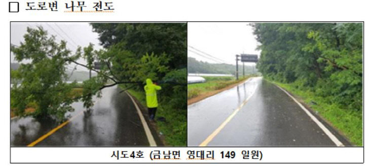 캡처