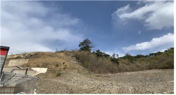 충남도 금산군 복수면 용진리 소재 임야