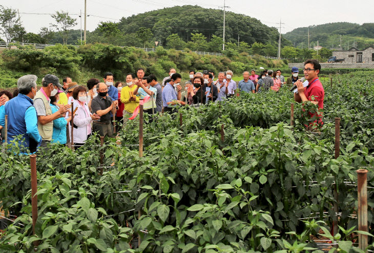 고추 시범사업 평가회 (3)