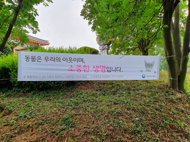 사본 -반려동물 캠페인(남산공원)