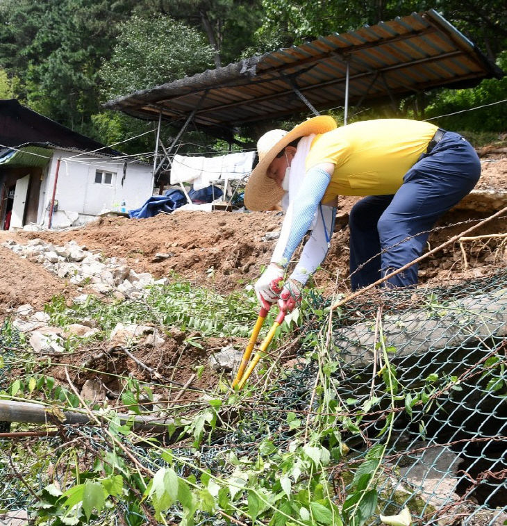 8.4 보도자료사진(대사동 수해복구현장, 박용갑청장님)