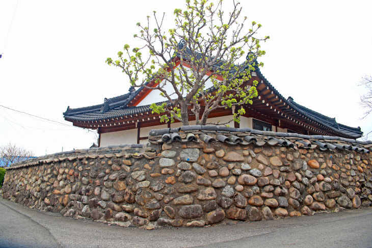 한옥과 돌담장(속초시 상도문돌담마을)