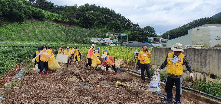 적십자봉사회 과산지회