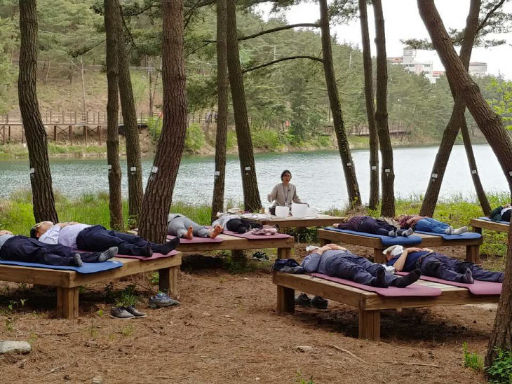 서천, 산림치유프로그램 인기몰이