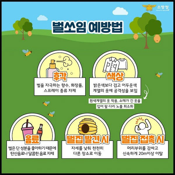 8.24 공주소방서, 공주소방서, 여름철 벌 쏘임 사고 주의 당부
