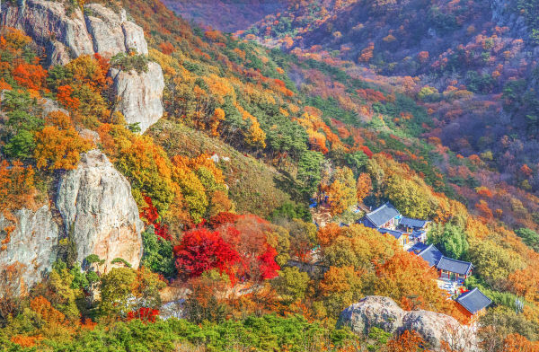 가을 선운산 전경