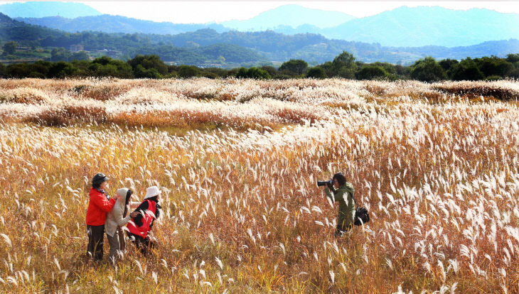 200925 비내섬 자연휴식지지정1
