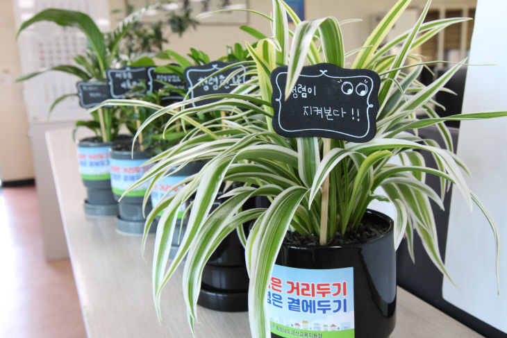 금산교육지원청 청렴화분가꾸기