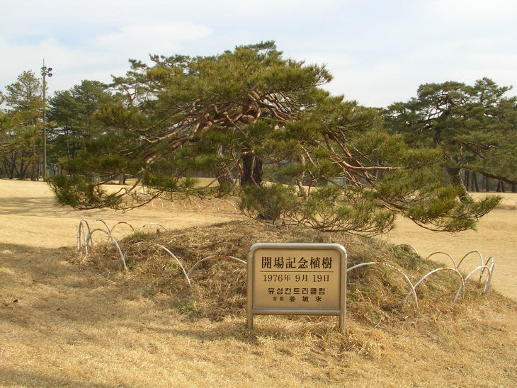 개장 기념식수