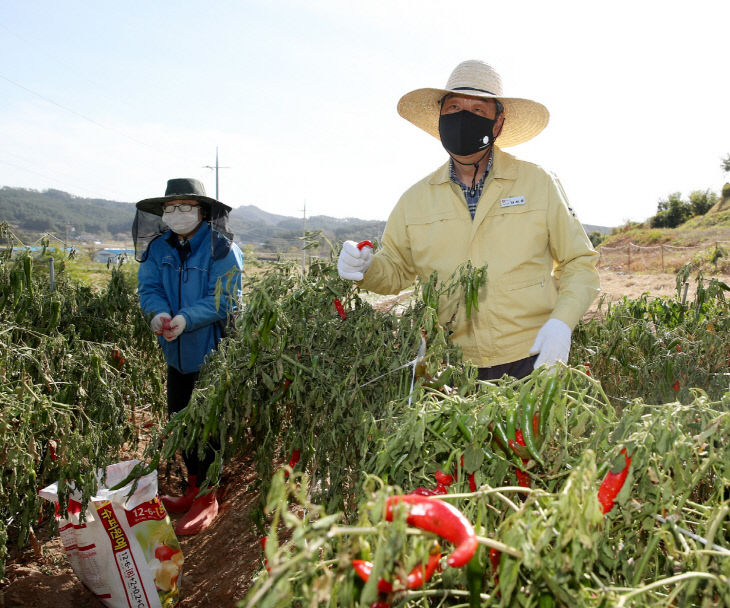 가을철 농손일손돕기 (2)