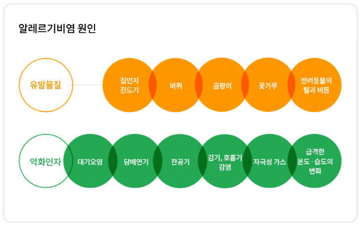 대전시, 가을철 알레르기비염 예방관리 당부