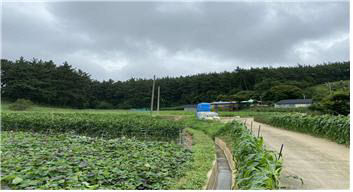 충남도 태안군 소원면 법산리 소재 임야