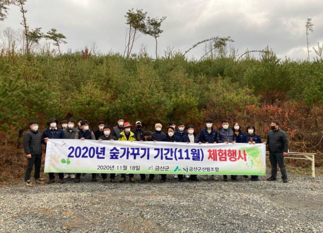 금산군, 수익창출형 숲가꾸기 총력