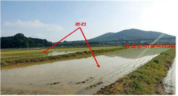 충남도 보령시 남포면 봉덕리 소재 답