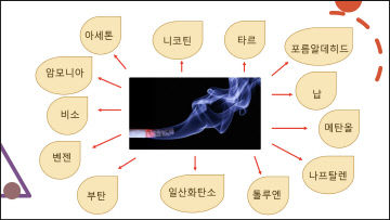 이영호 교수 그래픽