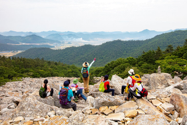 23-달마고도 3