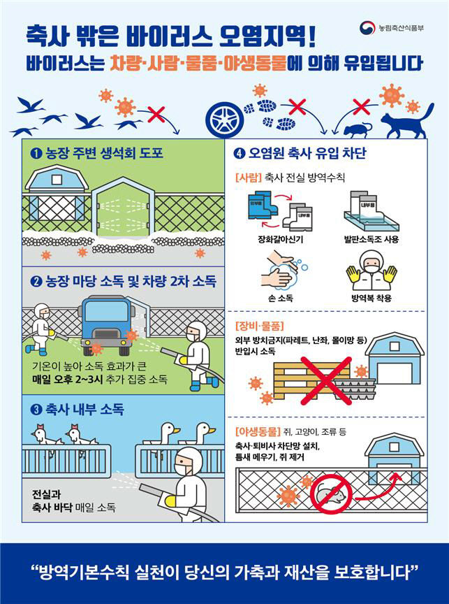 리플릿