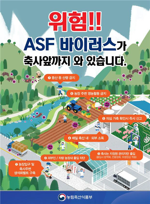 아프리카돼지 포스터