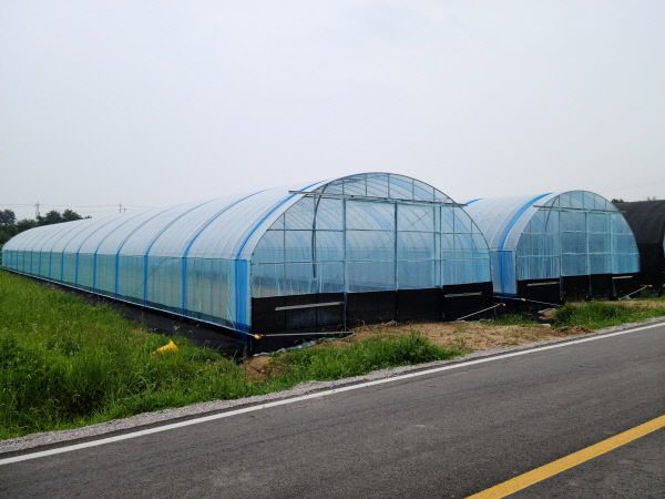 고창군, 2021년 비가림 재배시설 지원사업 (1)