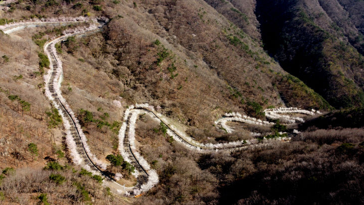 210331 의령 자굴산순환도로 벚꽃길 (5)