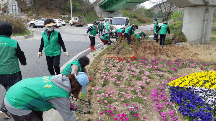 반포면새마을회 꽃밭 조성 사진 (1)