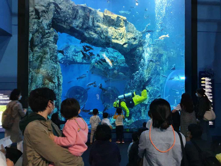 보도1)5일 진행된 다누리아쿠아리움 먹이주기 시연 (4)