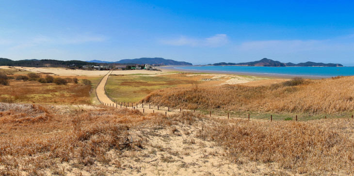 신두리해안사구 (4)