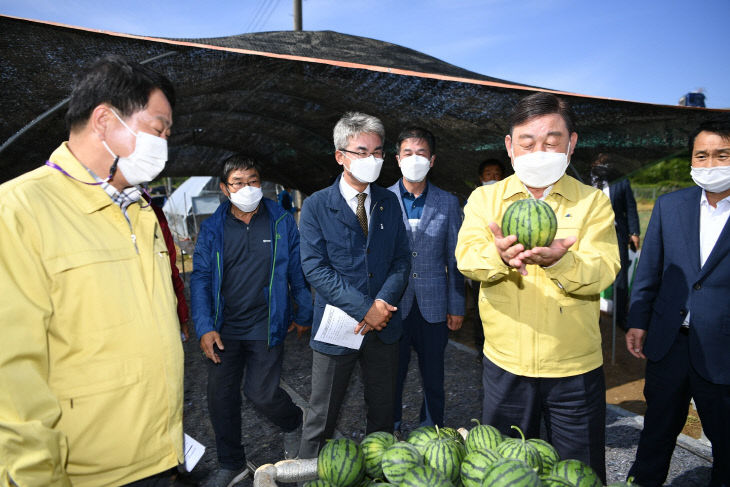 황선봉 군수가 애플수박을 들어보이는 모습