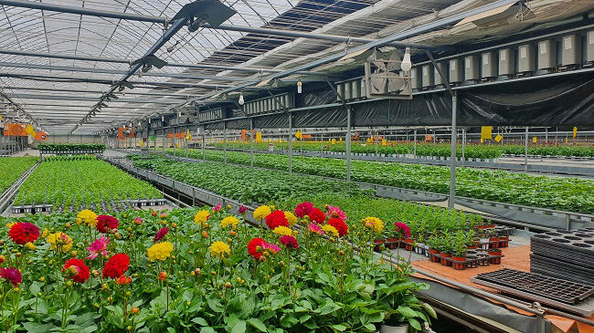 양주시, ICT(정보통신기술) 활용 화훼재배 기반구축 시범사업