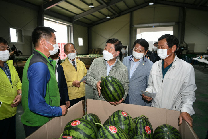황선봉 군수(가운데)가 출하된 흑피수박을 살펴보는 모습