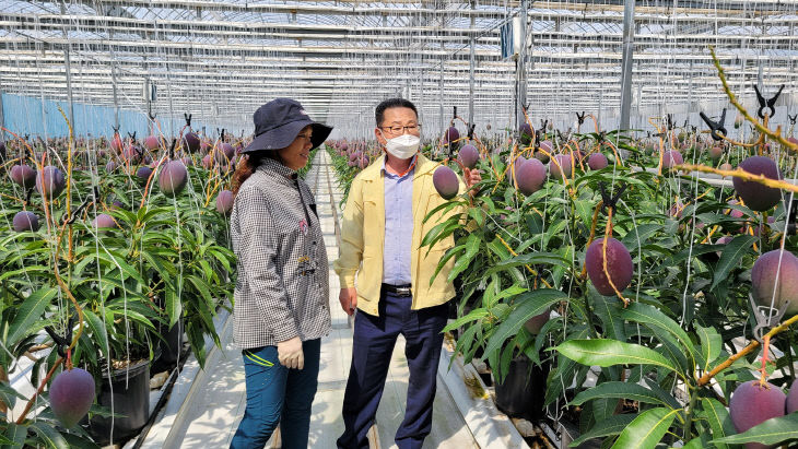 6.보도자료(영광군)