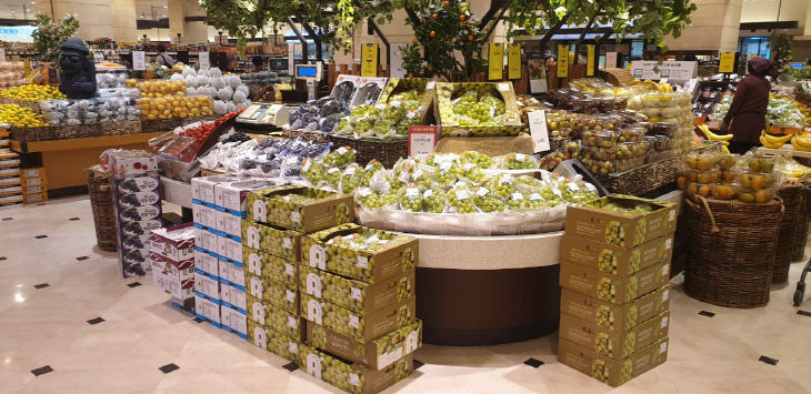 (유통마케팅과)상주 샤인머스켓, 새로운 농업의 장을 열다