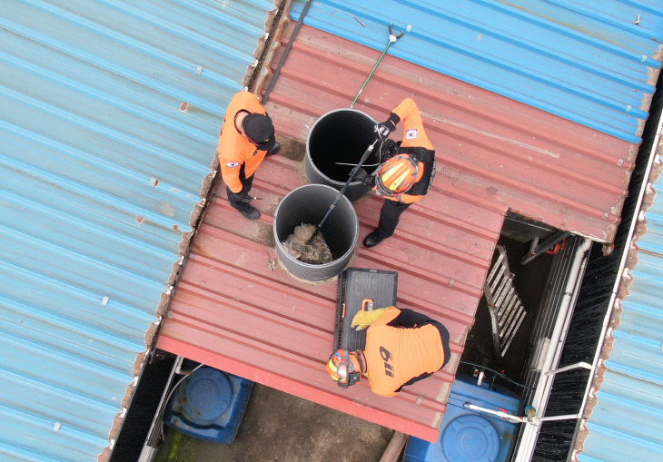 사본 -0617 당진소방서, 동물구조 소방드론 대활약