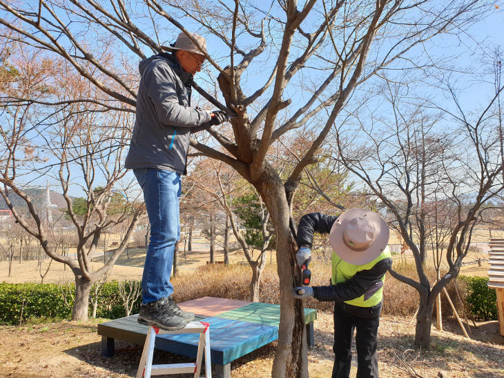 수목외과수술_20200316