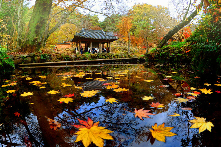 2020 대상김택수(광풍각만추)