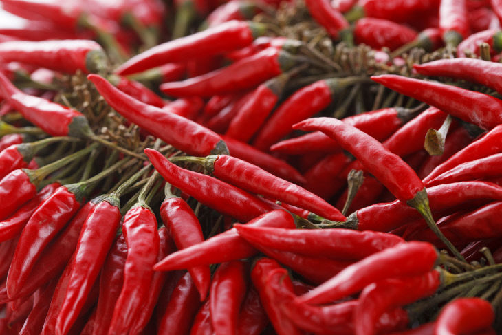 GettyImages-vs11155983 (1)