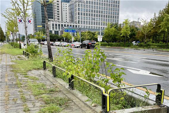 대전시 물순환 시범사업‘안전 및 경관향상’추진05