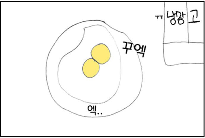 달걀의 부족한 1년 - 송다희