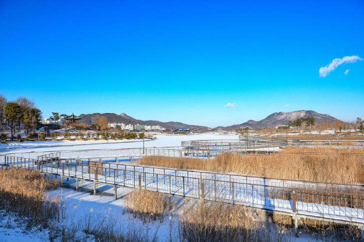 2021.1.7 설경 (세종호수공원)