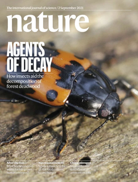 국립생태원, 곤충의 고사목 분해 연구논문 네이처에 게재