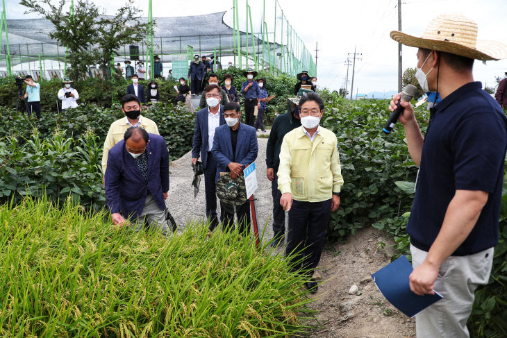 사본 -벼 농사 종합평가회 사진3