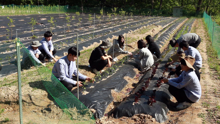 자율동아리(텃밭가꾸기)