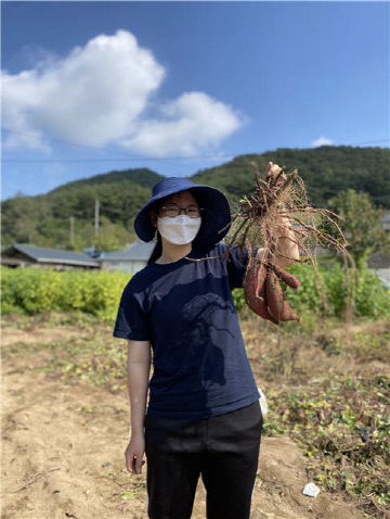 고구마1