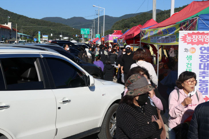 보은대추축제 가두 판매점