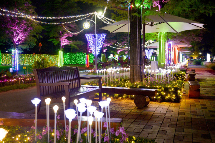 1-2. 국가정원 야간경관 사진