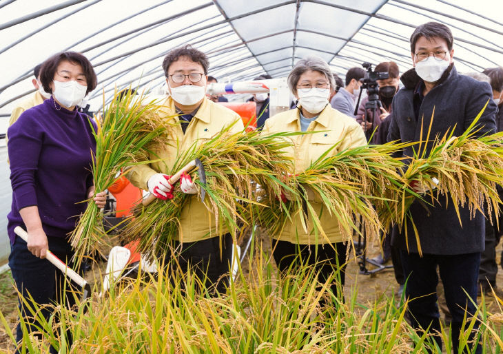 청양 우근식 농가벼 3모작