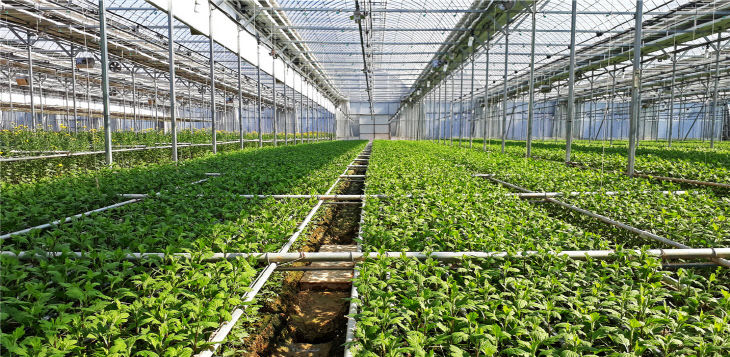 3-1 스마트팜 사진2