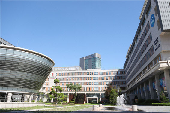 한국뉴욕주립대 111